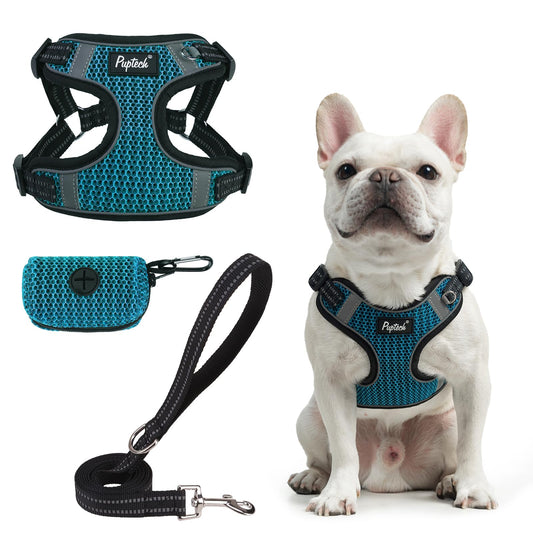 PUPTECK No Pull Dog Harness and Leash Set Reflective No Choke Step in Puppy Halter for XS Small and Medium Sized Dogs Turquoise Breathable Mesh L