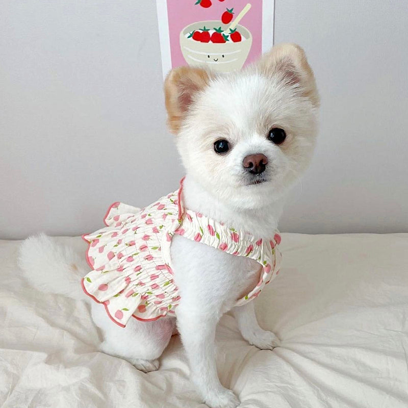 Summer Thin Clothes for Teddy Skirt Puppy Dog