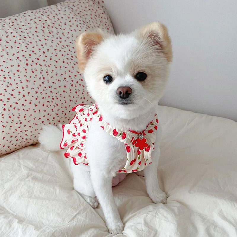Summer Thin Clothes for Teddy Skirt Puppy Dog