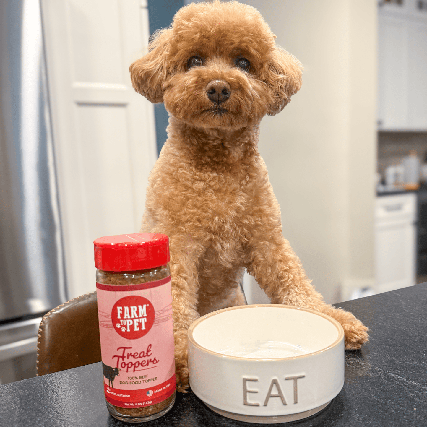 Treat Topper Beef Dog Food Topper | Powdered Meal Topper for Pets