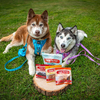 Puppy Packs 'n Snacks Dog Treat Starter Pack | Single-Ingredient Training Treats
