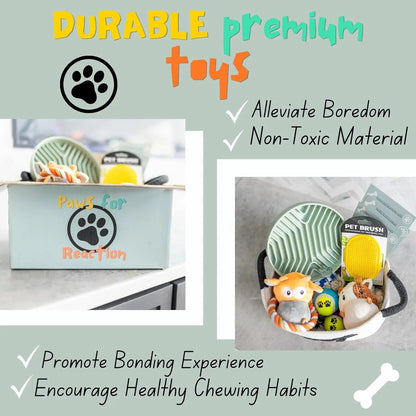 Premium New Puppy Gift Basket – Dog Starter Kit & Birthday Toy Set