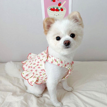 Summer Thin Clothes for Teddy Skirt Puppy Dog