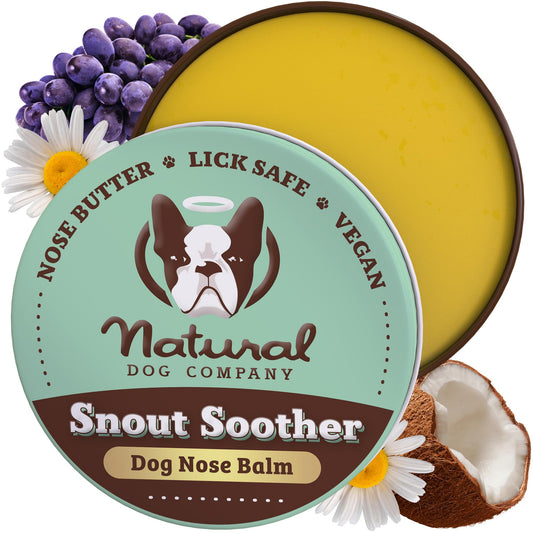 Natural Dog Company Snout Soother Dog Nose Balm 2 oz. Tin Dog Balm for Paws and Nose Moisturizes & Soothes Dry Cracked Noses Plant Based Nose Cream for Dogs