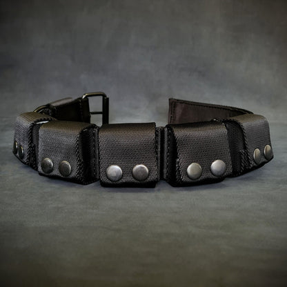 BESTIA DOG SPORT Weighted Dog Training Collar