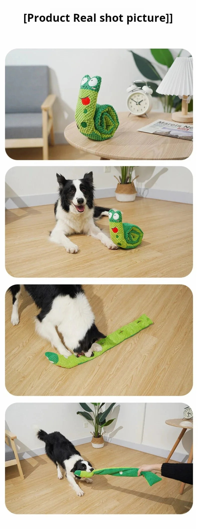 Interactive Snail Dog Puzzle Feeder | Hide Treats and Squeak Toy