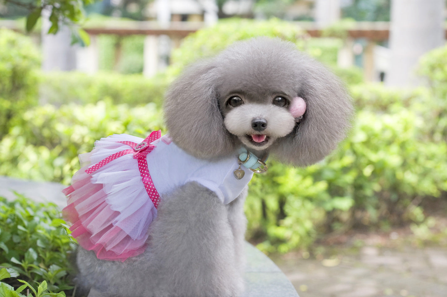 Dogbaby Pet Clothes for Spring/Summer - Dog Skirt